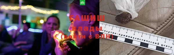 дурь Бородино