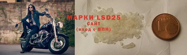 дурь Бородино