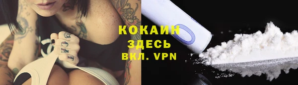 мескалин Богородицк