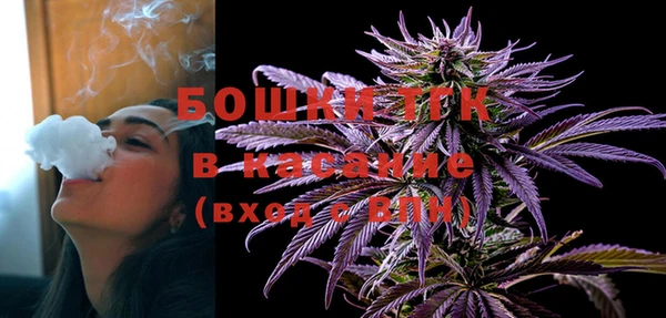 дурь Бородино