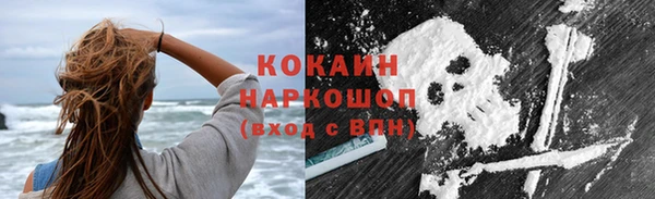 дурь Бородино