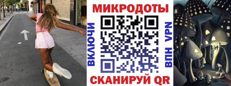 OMG ONION  Велиж  Галлюциногенные грибы Cubensis 
